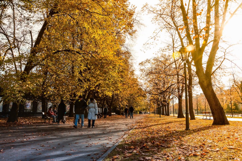 Systemy informatyczne Mazowsze